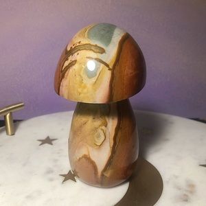 Polychrome Jasper Mushroom